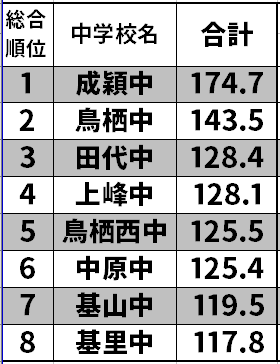 天然石ターコイズ 成穎中学校２ヶ月対策合格セット問題集(15冊)＋国語