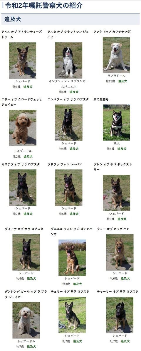ニュースで株を買う 茨城県の警察犬の名前が独特だと話題に いぬまんの生きのこり株式投資