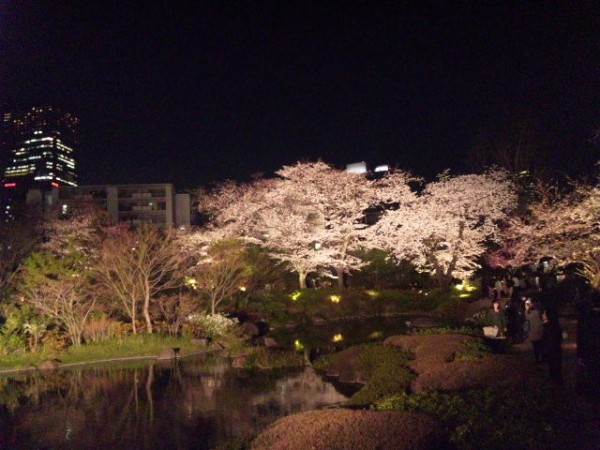 12春 東京の桜 ３５ 六本木ヒルズ毛利庭園の夜桜 東京散歩 四季のイベント 花の歳時記 食べ歩記