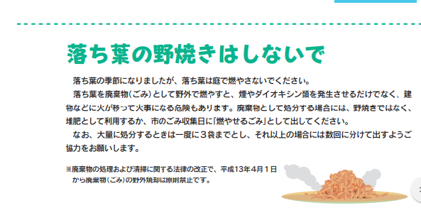 日光二荒山神社の落葉焚き : 野焼き被害者のブログ