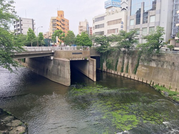 神田川支流 妙正寺川 路上日記 Season Iv 神田川支流 妙正寺川 路上日記 Season Iv
