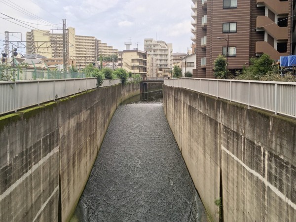 神田川支流 妙正寺川 路上日記 Season Iv