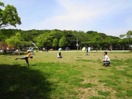 県立淡路島公園と北淡路カントリーガーデン : strong hot flower