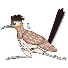 Lineスタンプ 今週の新作 爆走する世界最速の鳥 ロードランナー です Studio Gingerのlineスタンプ日記