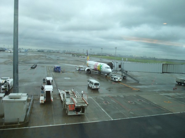 今日の離陸 羽田空港 熊本空港 彷徨私事記