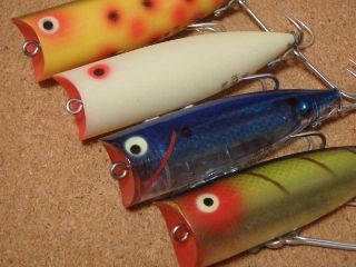 ザラスプーク チャガースプーク ザラスプーク チャガースプーク チャガースプーク Chugger Spook / へ