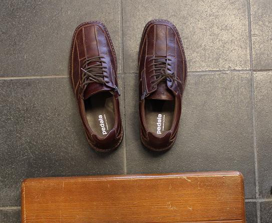 ポンコツ新人おもてなし係は靴の並べ方も知りません