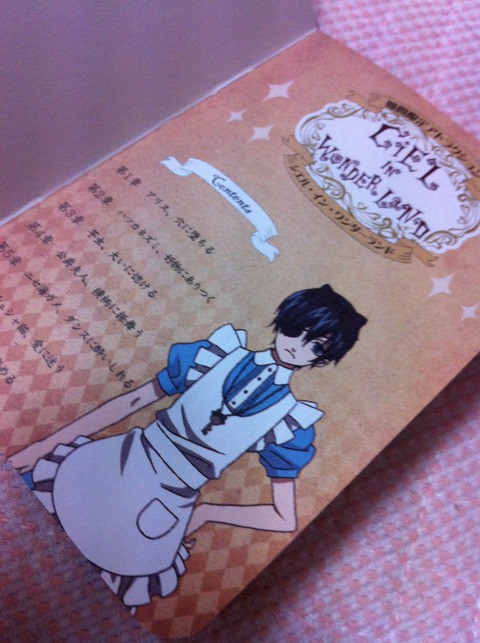 シエル イン ワンダーランド スキスギてツライ