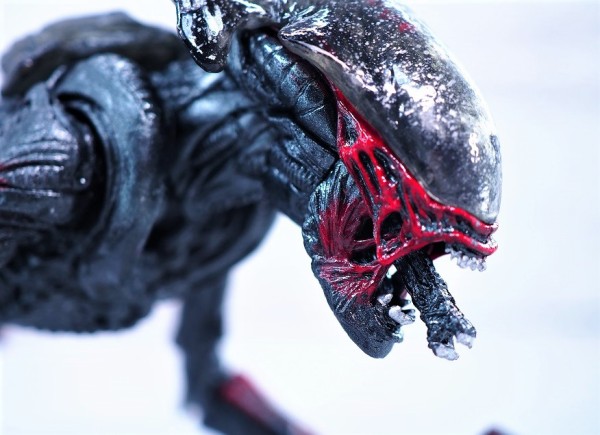 NECA ナイトクーガーエイリアン レビュー : おもちゃの巣（玩具