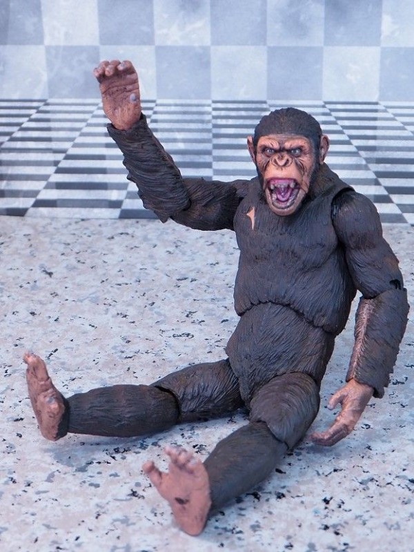 NECA 猿の惑星: 新世紀 シーザー レビュー : おもちゃの巣（玩具