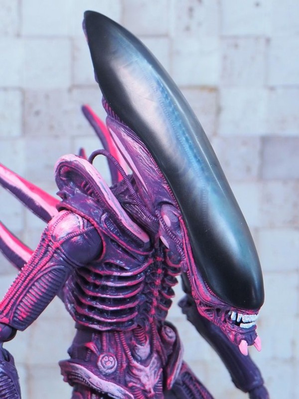 NECA エイリアン 2種 アラクノイド レイザークロウ NECA レイザークロウ (RAZOR CRAWS) レビュー : おもちゃの巣