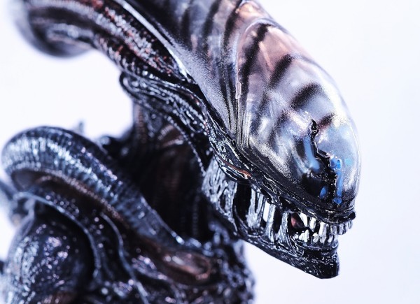 NECA スコーチド ゼノモーフ レビュー : おもちゃの巣（玩具