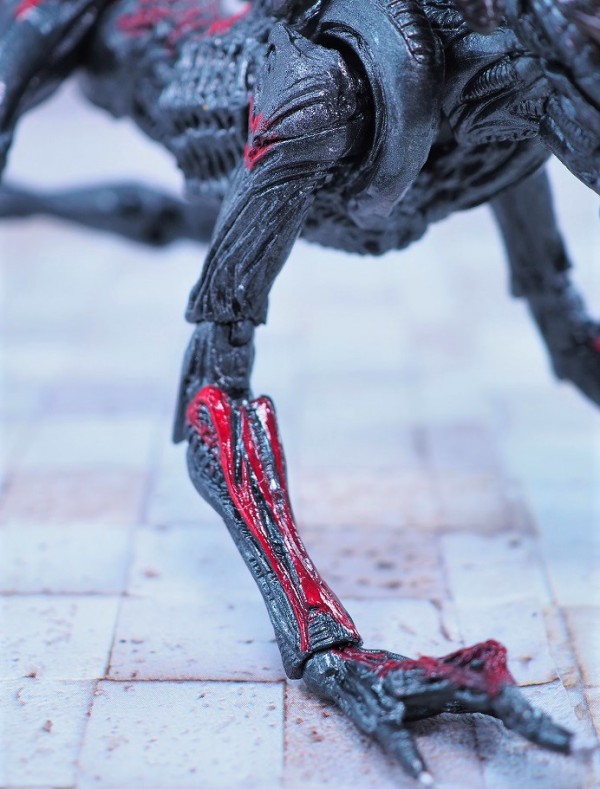 NECA ナイトクーガーエイリアン レビュー : おもちゃの巣（玩具