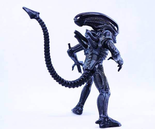 Kenner エイリアン vs プレデター（Alien vs Predator