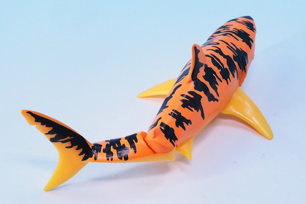 y*i様 アガベ 奇跡の株スナグルトゥース ホホジロザメ キングアーサー