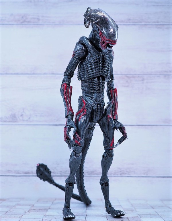 NECA ナイトクーガーエイリアン レビュー : おもちゃの巣（玩具