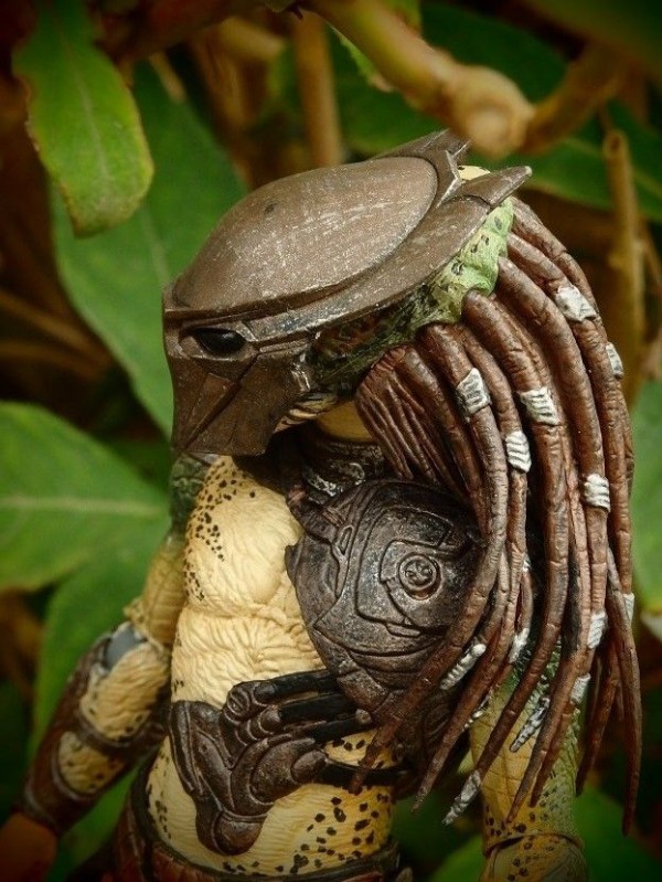 NECA ファルコナー・プレデター レビュー : おもちゃの巣(玩具 NECA ファルコナー・プレデター レビュー : おもちゃの巣(玩具