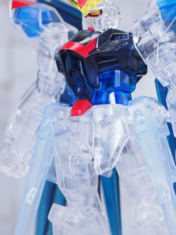 1/144 デスティニーガンダム & ストライクフリーダムガンダム
