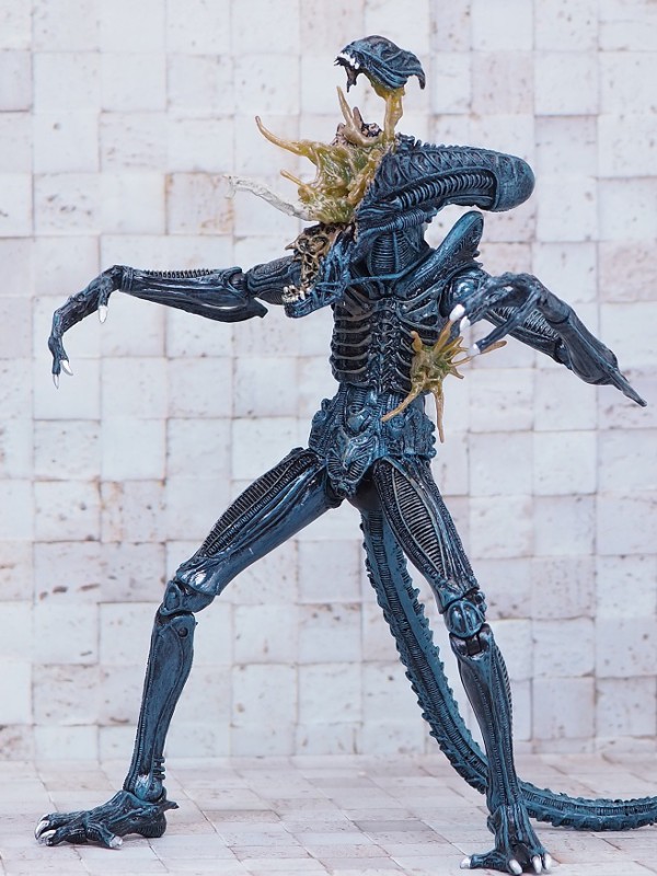 NECA エイリアン・ウォーリアー ブルー（バトルダメージ