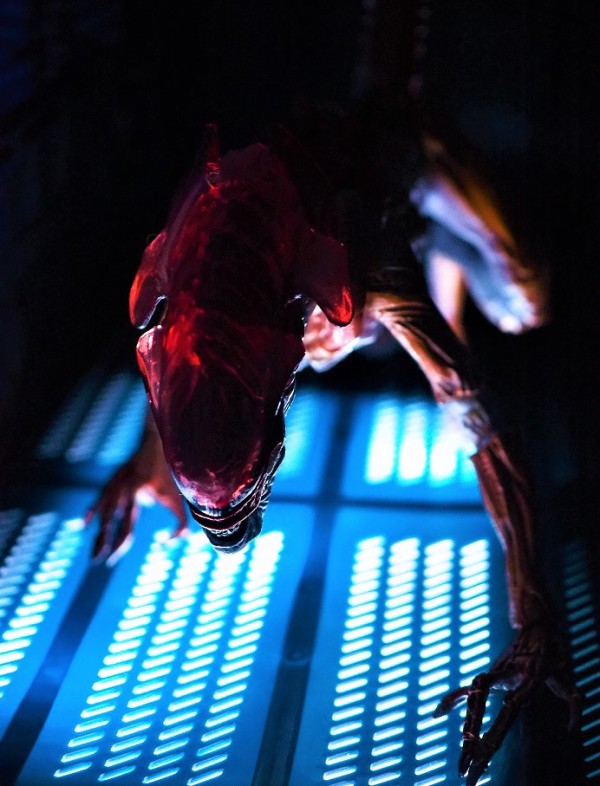 NECA パンサーエイリアン レビュー : おもちゃの巣（玩具レビュー）