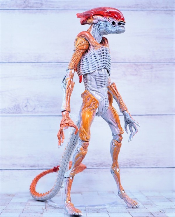 NECA パンサーエイリアン レビュー : おもちゃの巣（玩具レビュー）