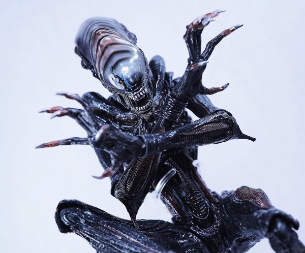 NECA Alien エイリアン スコーチドゼノモーフ フィギュア セット エイリアン:ロムルス/ スコーチド ゼノモーフ アルティメット 7