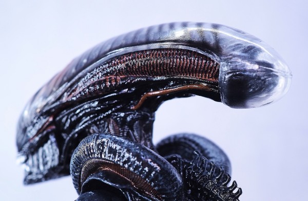 NECA スコーチド ゼノモーフ レビュー : おもちゃの巣（玩具