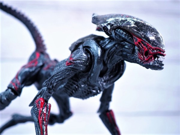 NECA ナイトクーガーエイリアン レビュー : おもちゃの巣（玩具レビュー）