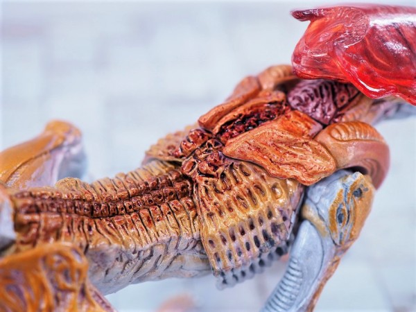 NECA パンサーエイリアン レビュー : おもちゃの巣（玩具レビュー）