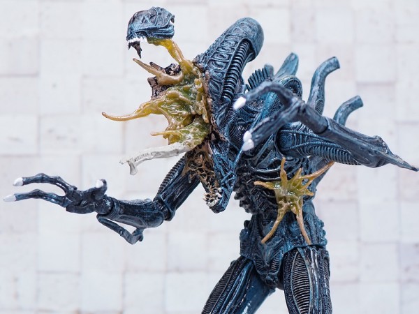 NECA エイリアン・ウォーリアー ブルー（バトルダメージ