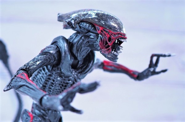 NECA ナイトクーガーエイリアン レビュー : おもちゃの巣（玩具