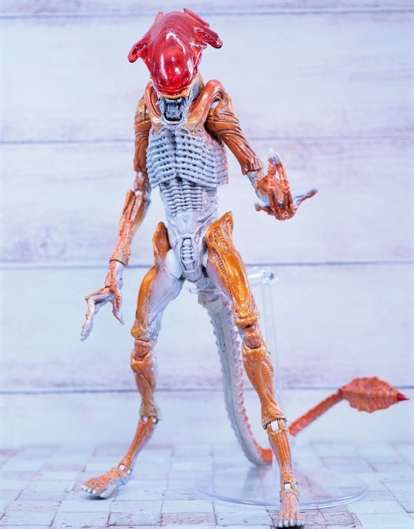 NECA パンサーエイリアン レビュー : おもちゃの巣(玩具レビュー) NECA パンサーエイリアン レビュー : おもちゃの巣(玩具レビュー)