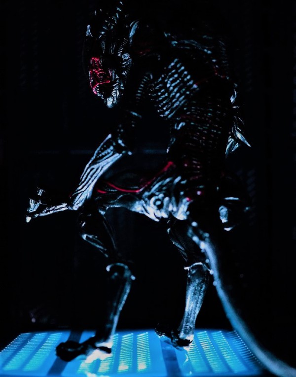 NECA ナイトクーガーエイリアン レビュー : おもちゃの巣（玩具