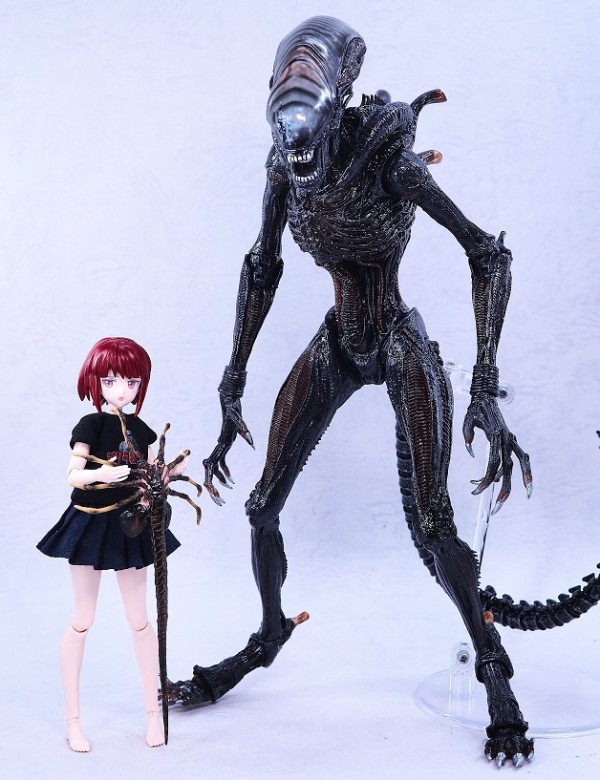 NECA スコーチド ゼノモーフ レビュー : おもちゃの巣（玩具