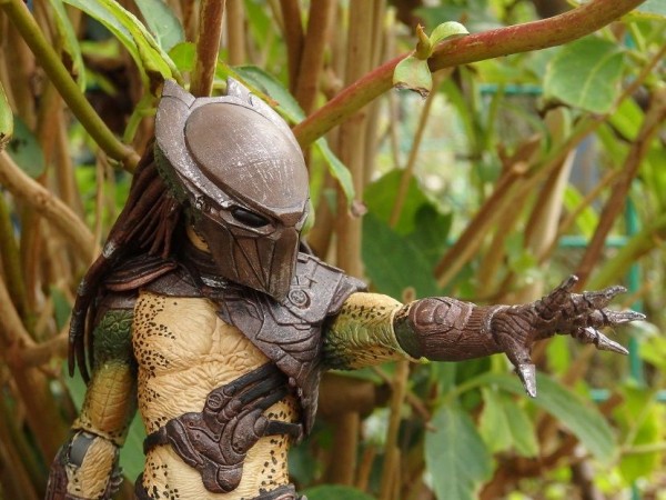 NECA ファルコナー・プレデター レビュー : おもちゃの巣（玩具