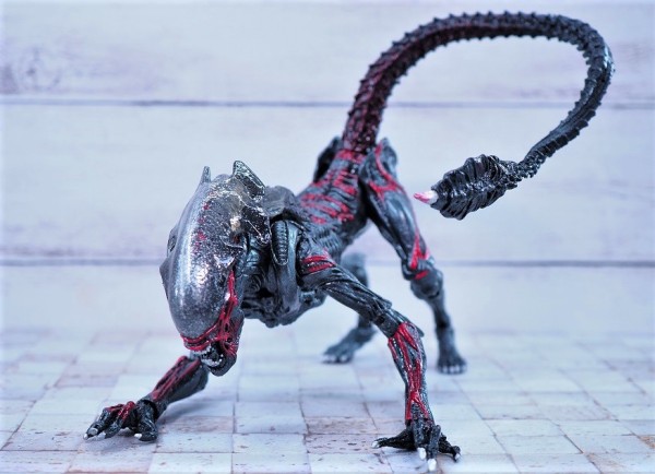 NECA ナイトクーガーエイリアン レビュー : おもちゃの巣（玩具レビュー）