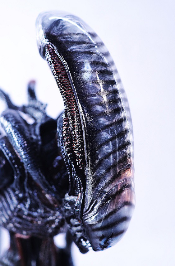 NECA スコーチド ゼノモーフ レビュー : おもちゃの巣（玩具