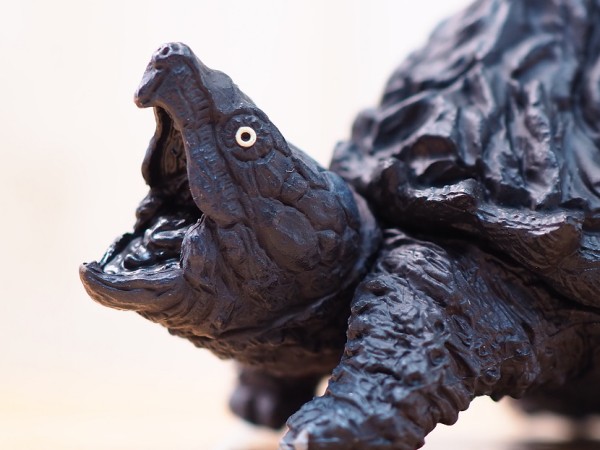 タカラトミーアーツ マウンテンタートルズ レビュー : おもちゃの巣