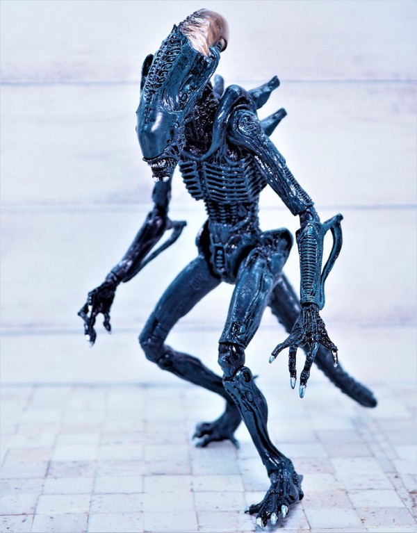 ネカ　アラクノイドエイリアン NECA アラクノイドエイリアン (Movie Deco) レビュー : おもちゃの巣
