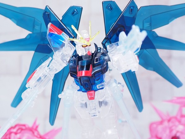 1/144 デスティニーガンダム & ストライクフリーダムガンダム クリア