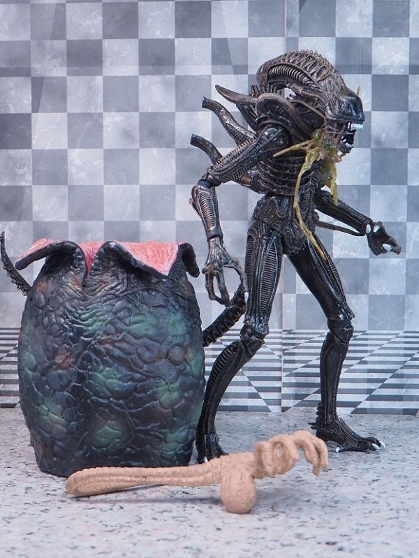 【WEB限定】 NECA エイリアン・エッグ（フェイスハガー付属）レビュー SF・ファンタジー・ホラー