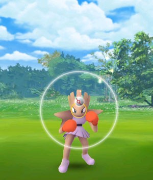 ポケモンgo エビワラーソロ初勝利 すな風呂