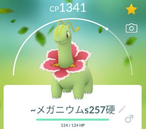 ポケモンgo Goツアージョウト すな風呂