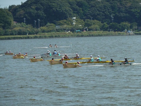 佐鳴湖 青春のボート大会 Free Flight
