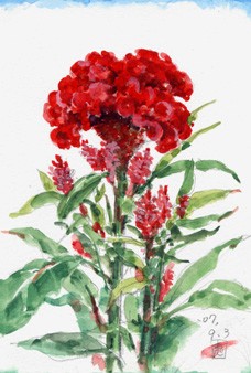 横尾本鶏 ぼけの花 日本画 高かろ 花の絵柄