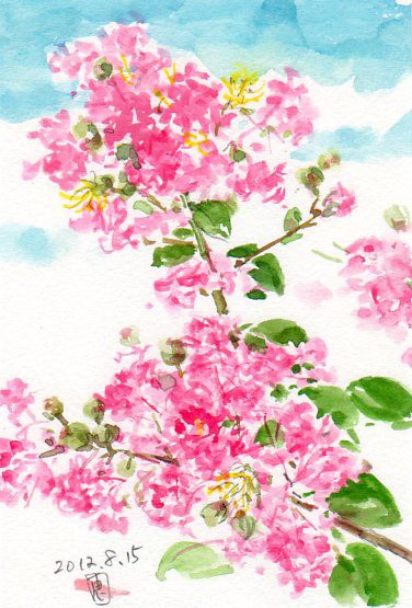 猛暑のぶり返しにサルスベリの赤い花 絵日記 : 新・サンデーKU