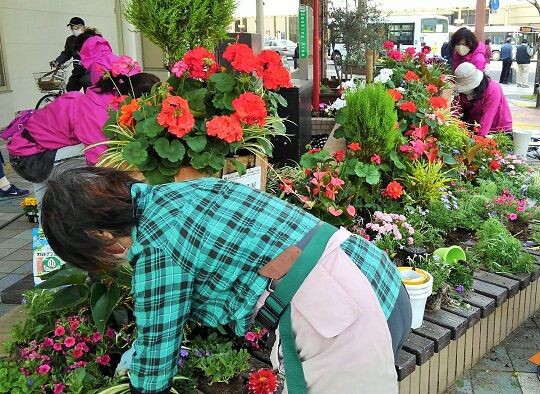 デパート前花壇の植え替え サン フラワー宮崎 活動報告