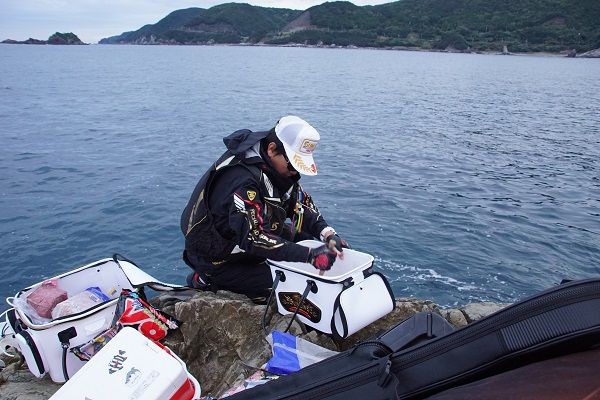 アタリがわかる道糸 魚とのバトルin和歌山 Sunline Official Blog