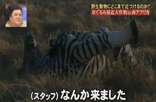 狩野英孝 ８股 未成年淫行 不倫もしました でも世間がなぜか許してくれるんです なんjsunri