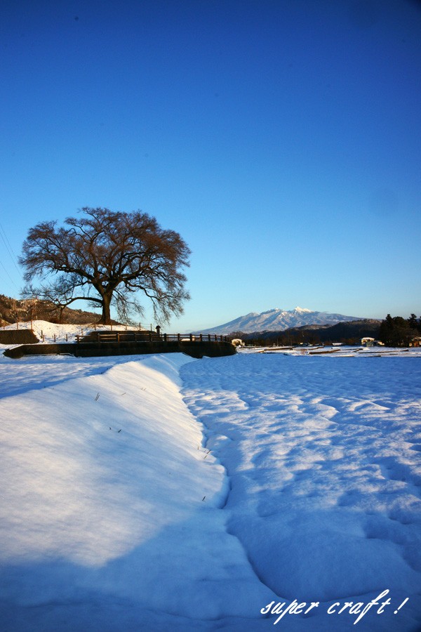 2025年2月20日 雪☃️ -7℃ ❄️+30〜 数日続いた大雪も今日は